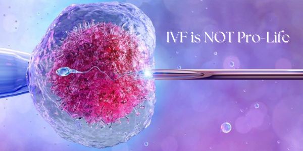 IVF is Not Pro-Life